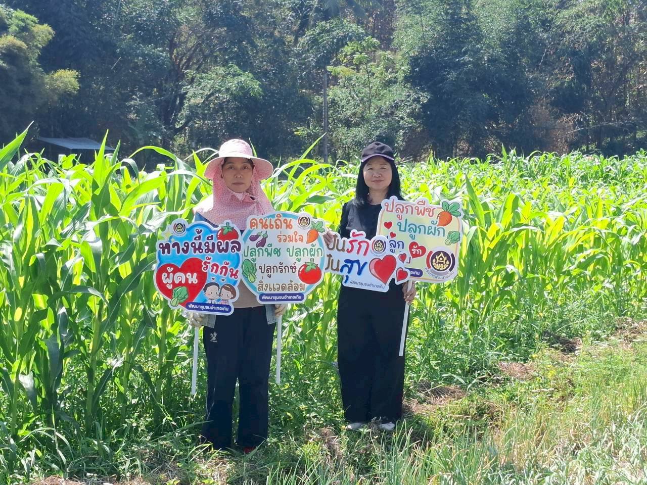  พช.เถิน : ติดตามครัวเรือน TPMAP ประเภทครัวเรือนพัฒนาได้